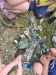 MVIMG_20260527_103032